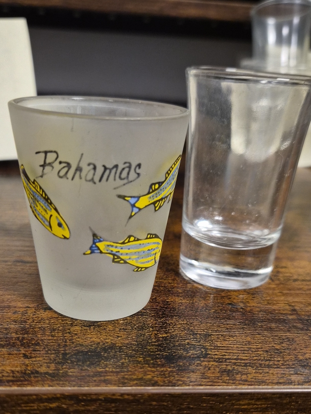 Bahamas Yellow Fish Frosted Shot Glass with Clear Rim